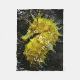 Couverture Polaire Hippocampe jaune Guttulatus de l'hippocampe