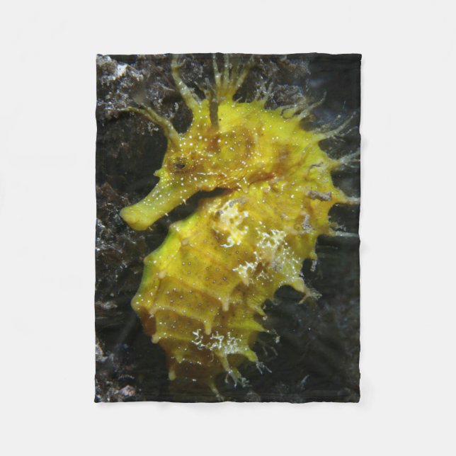 Couverture Polaire Hippocampe jaune Guttulatus de l'hippocampe | (Devant)