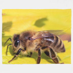 COUVERTURE POLAIRE HONEY BEE