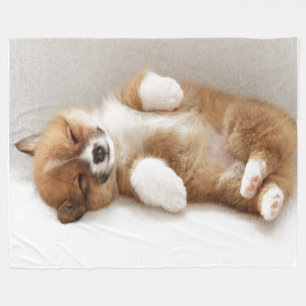 COUVERTURE POLAIRE I EST POOPED