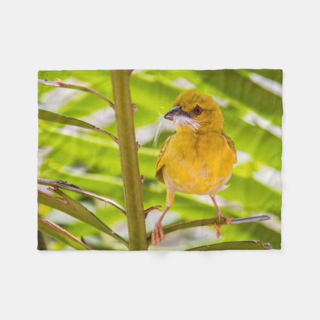 Couverture Polaire Il est temps de construire le nid (Devant (Horizontal))