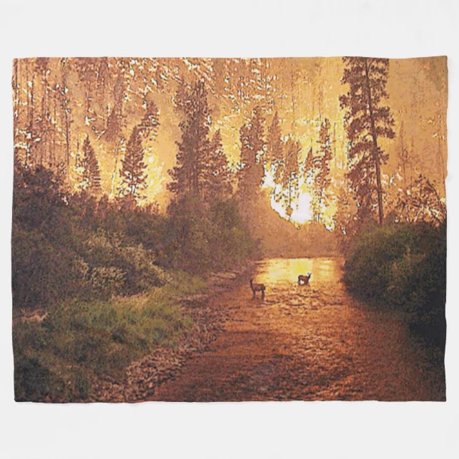 COUVERTURE POLAIRE INCENDIE FORESTIER (Devant (Horizontal))