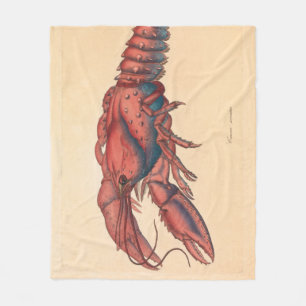 Couverture Polaire James Sowerby Homard serbé