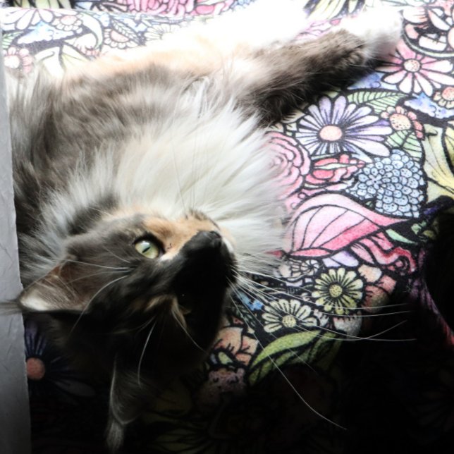 Couverture Polaire Jardin Fairy Jardin Flower Jardins Fées (Créateur téléchargé)