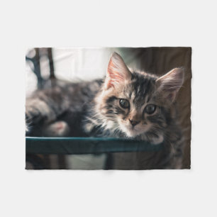 Couverture Polaire Jeune chat tigré masculin 2
