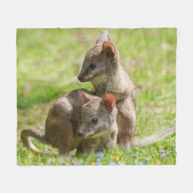 Couverture Polaire Joey Wallabies sous le soleil (Devant (Horizontal))
