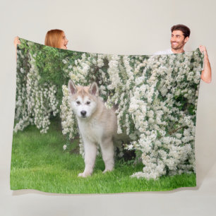 Couverture Polaire Jolie chiot de chien malamué de l'Alaska en fleurs