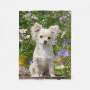 Couverture Polaire Jolie photo Chihuahua Chig Chippy aux cheveux long