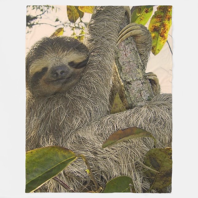 Couverture Polaire Jolie Sloth (Devant)
