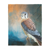 Kestrel américain