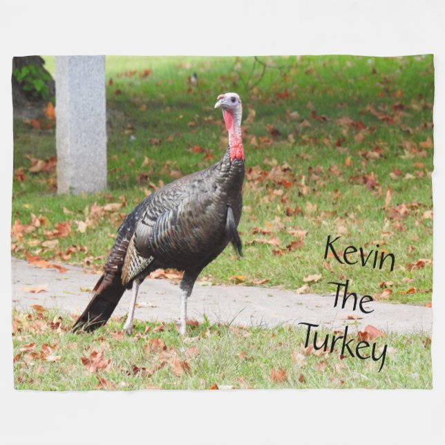 Couverture Polaire Kevin La Turquie - Vieux Wethersfield, CT (Devant (Horizontal))