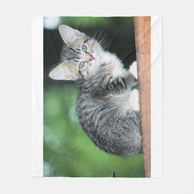 Couverture Polaire Kitten (Devant)