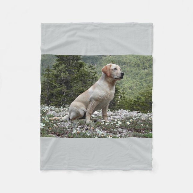 Couverture Polaire laboratoire jaune sitting.png (Devant)