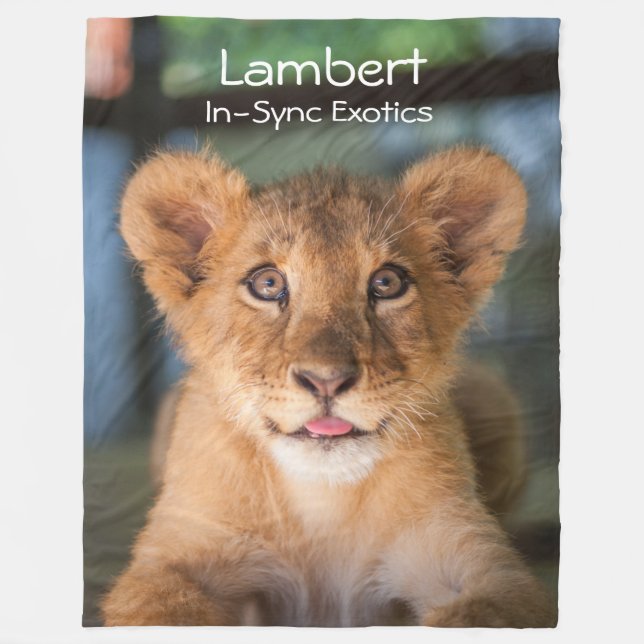 Couverture Polaire Lambert -  (Devant)