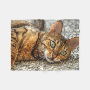 Couverture Polaire Lazy Bengal
