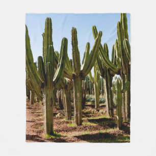 Couverture Polaire Le jardin des cactus. De grands cactus verts et de