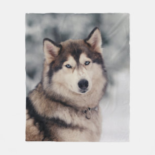 Couverture Polaire Le magnifique Husky en plein air