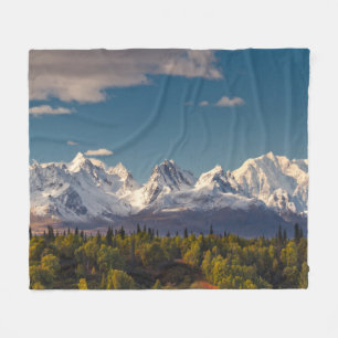 Couverture Polaire Le mont McKinley Alaska