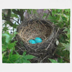 COUVERTURE POLAIRE LE NEST DE ROBIN