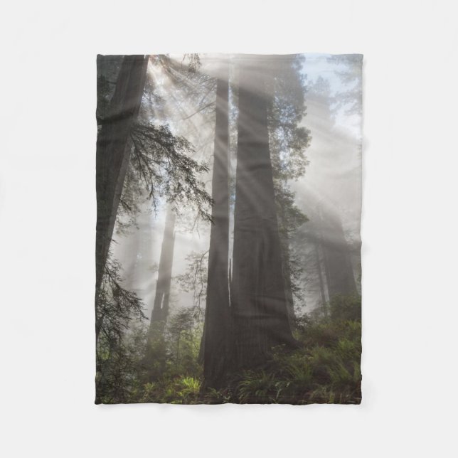 Couverture Polaire Le parc national de Redwood Californie (Devant)