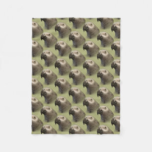 Couverture Polaire Le perroquet gris africain du Congo
