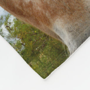 Couverture Polaire "Le sucre : la grâce de l'Appaloosa"