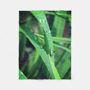 Couverture Polaire Les gouttes de pluie sur l'herbe