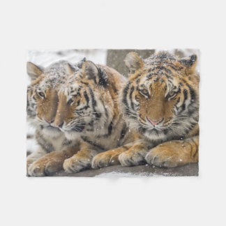 Couverture Polaire Les tigres d'hiver se serrent la neige