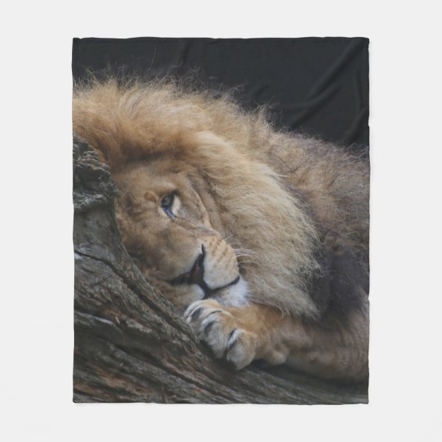 Couverture Polaire Lion 030 (Devant)
