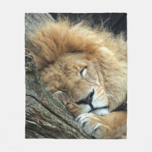 Couverture Polaire Lion 036