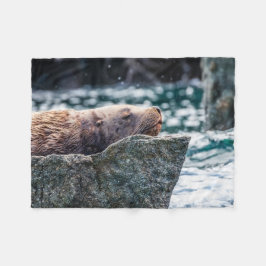 Couverture Polaire Lion De Mer Dans La Baie De Résurrection, Alaska