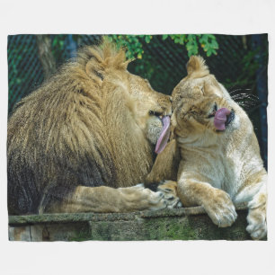 COUVERTURE POLAIRE LION LOVE
