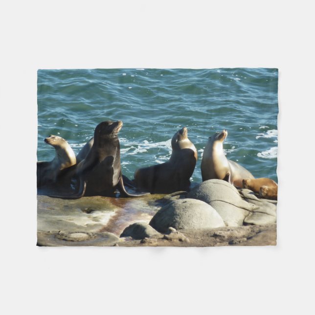 Couverture Polaire Lions de la mer de San Diego (Devant (Horizontal))