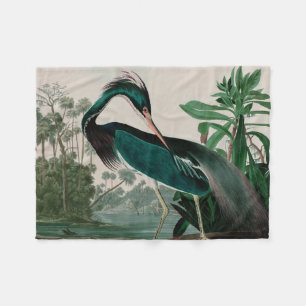 Couverture Polaire Louisiana Heron Birds of America Audubon Imprimer