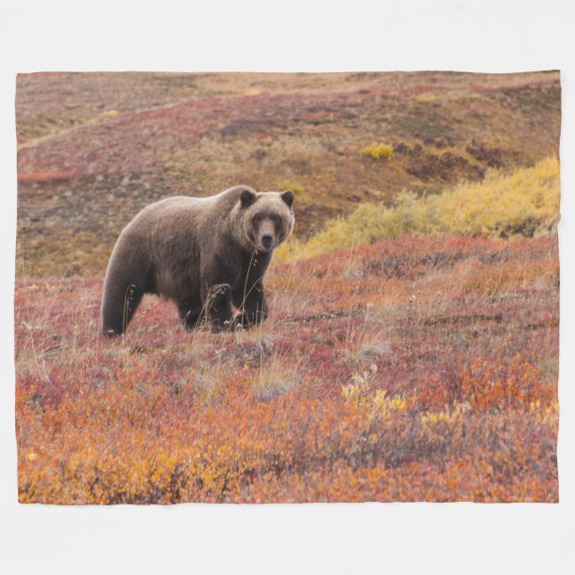 Couverture Polaire L'ours déplace le parc national de Denali, Alaska (Devant (Horizontal))