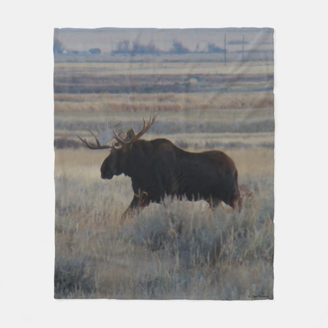 Couverture Polaire M2 Bull Moose dans les Prairies (Devant)