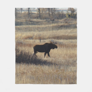 Couverture Polaire M5 Orignal et collines de sable