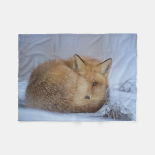 Couverture Polaire maculez la couverture, jet de renard, renard