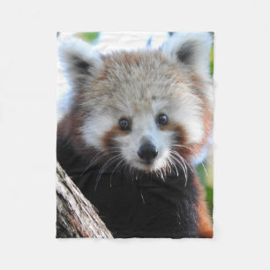 Couverture Polaire Maiya le panda rouge