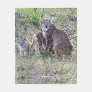 Couverture Polaire Mamans Lynx et bébés