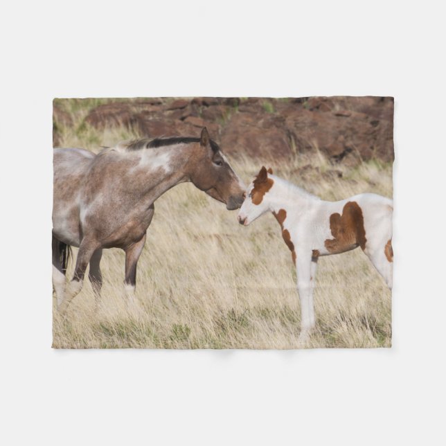 Couverture Polaire Mare avec Colt (Devant (Horizontal))