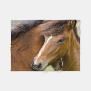 Couverture Polaire Mare Et Colt
