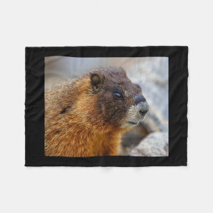 Couverture Polaire marmotte