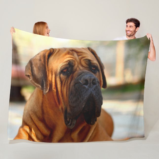 COUVERTURE POLAIRE MASTIFF ANGLAIS (En situation)