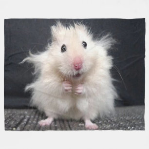 COUVERTURE POLAIRE MAUVAIS JOUR DE CHEVEUX DE HAMPSTER
