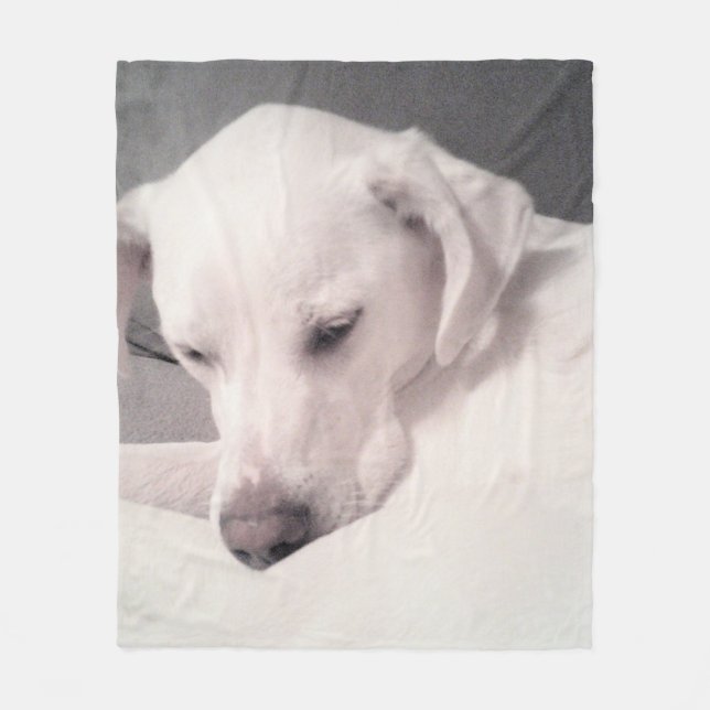 Couverture Polaire Mélange blanc labrador Mix chien gris moyen (Devant)