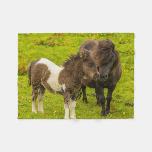 Couverture Polaire Mère et progéniture de poney Shetland