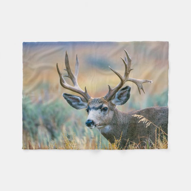 Couverture Polaire Mule Deer Buck | Parc national du Grand Teton Wyom (Devant (Horizontal))