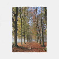 Nature paysage photographie arbres d'automne