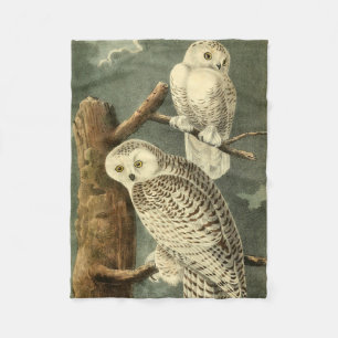 Couverture Polaire OEuvre d'OEuf Audubon